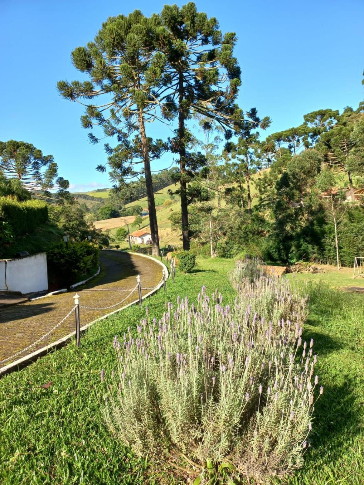 Pousada Pedacinho Do Ceu Chale 2 Cunha Luaran gambar